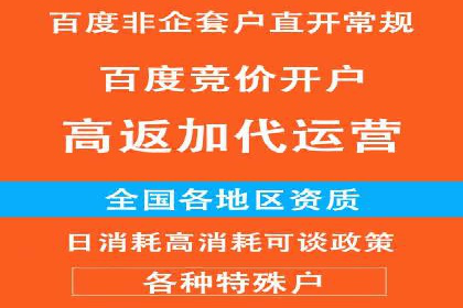 竞价推广公司案例揭秘：如何利用数据分析提升广告效果